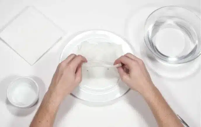Step 5