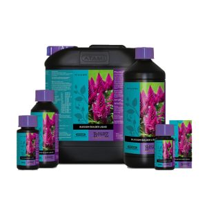 B'cuzz Blossom Builder Liquid PK 14-24 (Atami): Blütestimulator für kräftige Blütenbildung.
