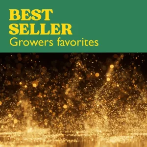 Best-Seller-Kollektion mit Cannabissamen und dem Schriftzug Best Seller Growers Favorites.