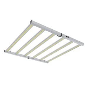 LED-Leuchte LazerLite Compact 720W mit LED-Dioden.