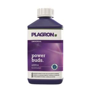 Plagron Power Buds 250 ml Blütestimulator.