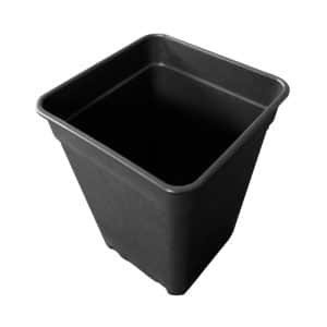 Pure quadratischer schwarzer Pflanztopf 1 L, 10 × 10 × 14 cm.