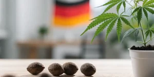 Cannabis-Samen legal in Deutschland kaufen: Was das CanG erlaubt
