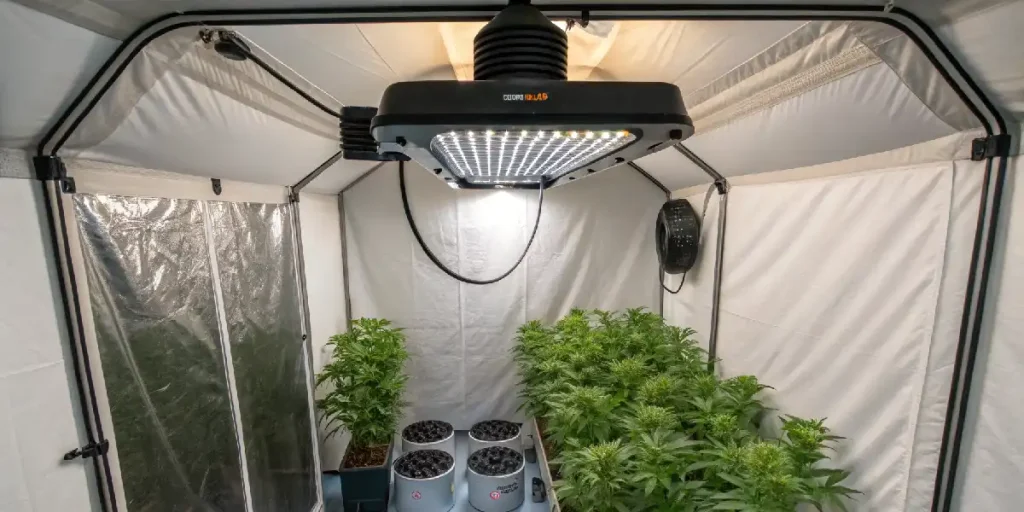 Belüftung im Growzelt berechnen (Abluft, Umluft, m³/h)